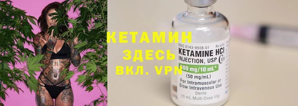 прущие грибы Абаза