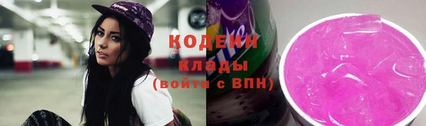 прущие грибы Абаза