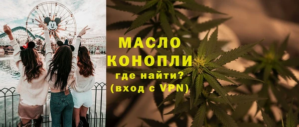прущие грибы Абаза