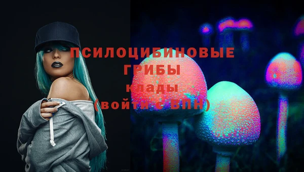 прущие грибы Абаза