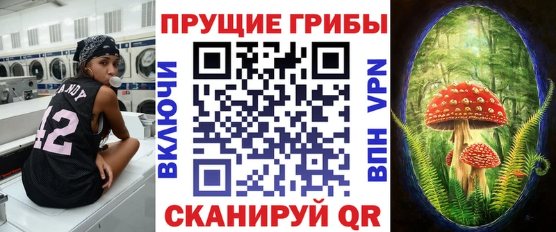 Псилоцибиновые грибы MAGIC MUSHROOMS  OMG ТОР  Черемхово  где купить  